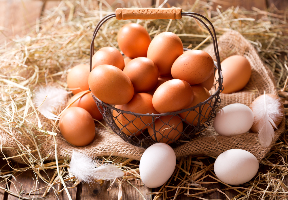 Mnogi tvrde da svakodnevna konzumacija jaja nije zdrava, ali to nije istina!, foto: Depositphotos/Nitrub