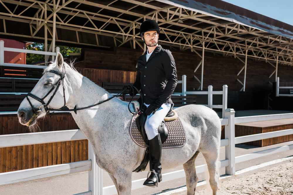 elite princa na belom konju?, foto: Depositphotos/VitalikRadko