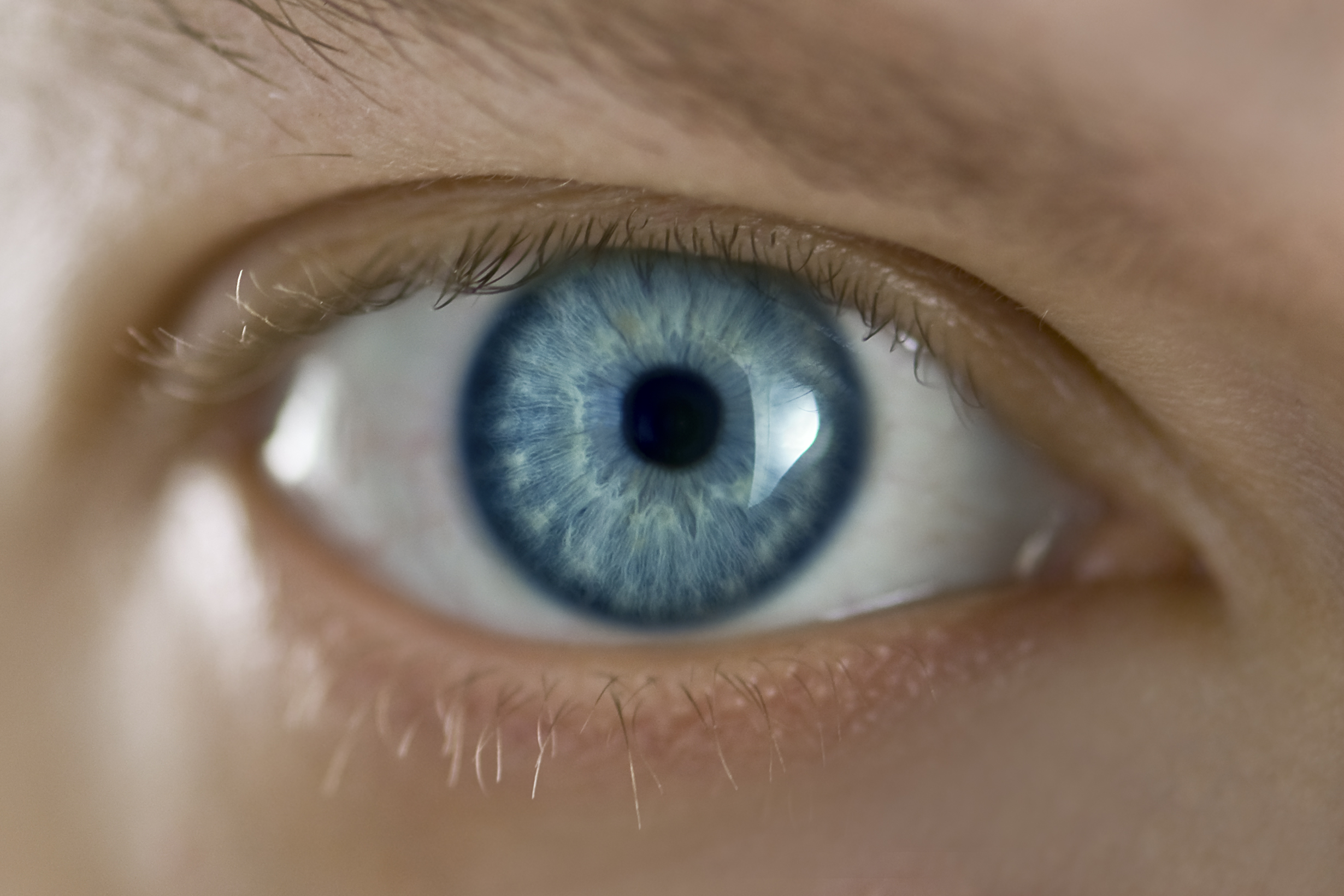 Plavo oko, foto: Depositphotos/Ivankmit