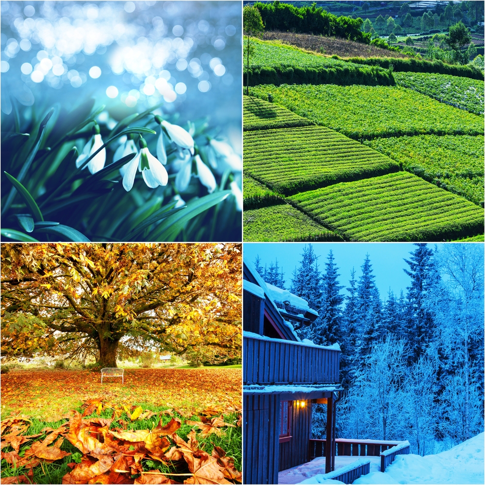 Prolee, leto, jesen ili zima?, foto: Depositphotos/kamchatka