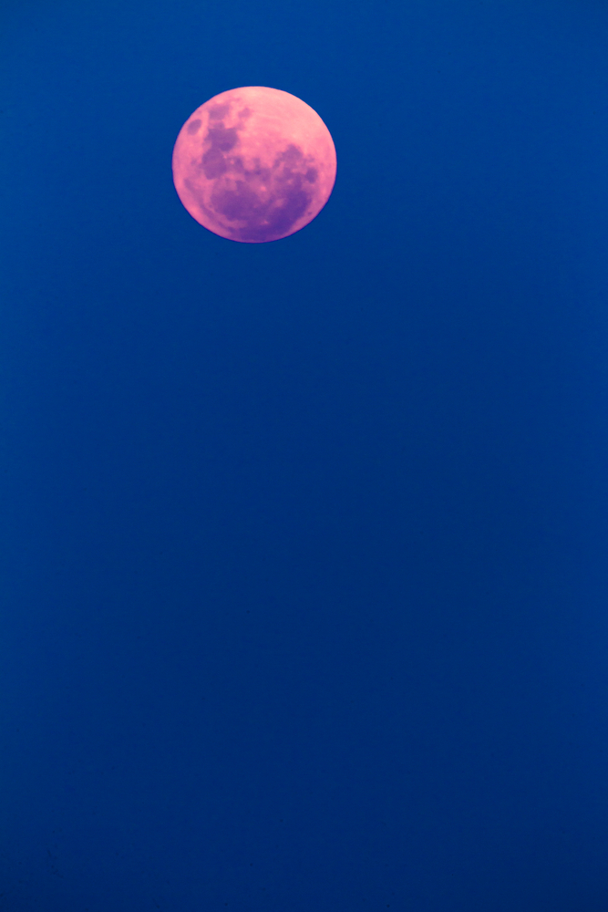 Mesec e 7. aprila biti najblii Zemlji!, foto: Depositphotos/ChrisVanLennepPhoto
