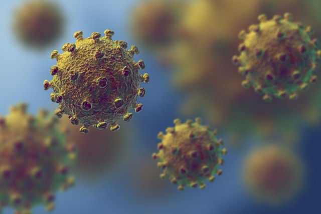 korona virus, foto: Shawn Hempel/shutterstock