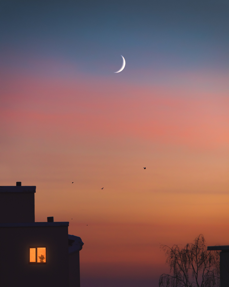 Mlad mesec, foto: Olha Volynska / Shutterstock