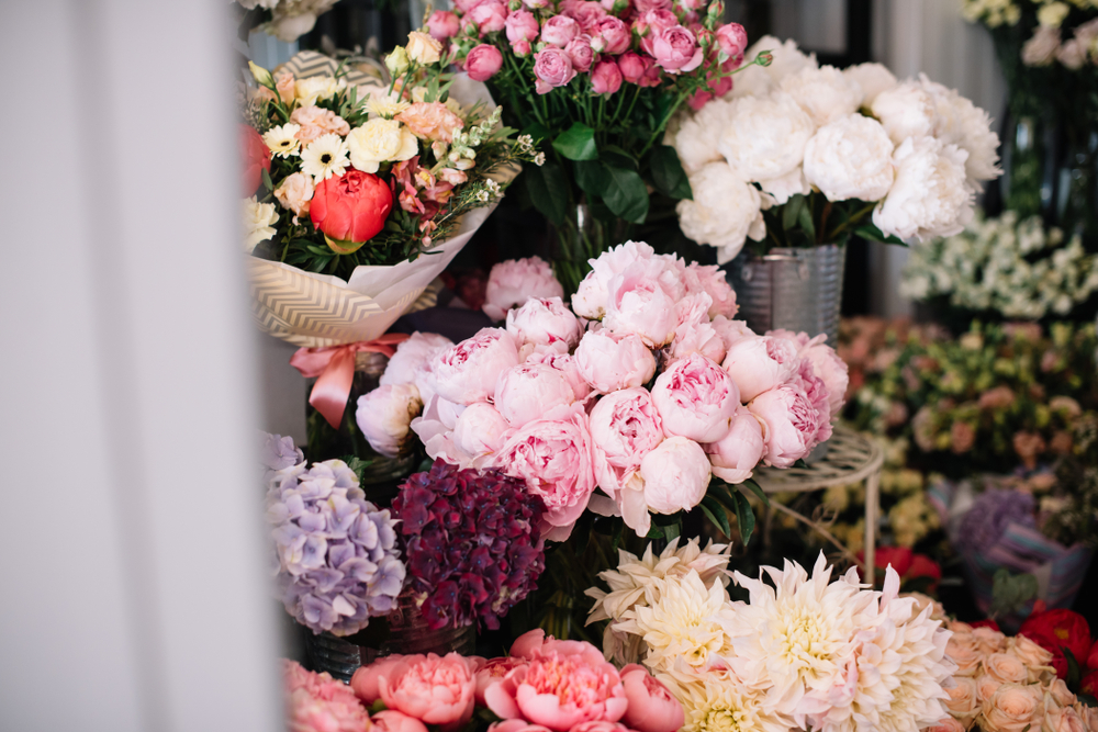 Koji je va cvet?, foto: AnastasiaNess/Shutterstock