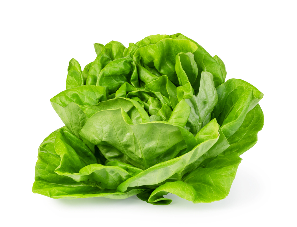 zelena salata, foto: gresei / Shutterstock