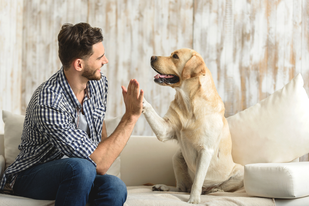 Èovek i pas su èesto najbolji prijatelji, foto: Olena Yakobchuk/Shutterstock