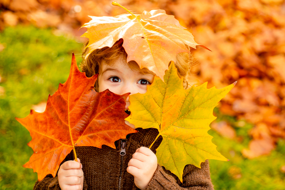 Danas stie jesen, foto: Volodymyr TVERDOKHLIB/Shutterstock