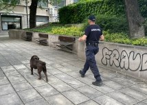 Foto: B92.net