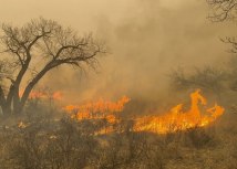 EPA-EFE/GREENVILE, TX FIRE-RESCUE