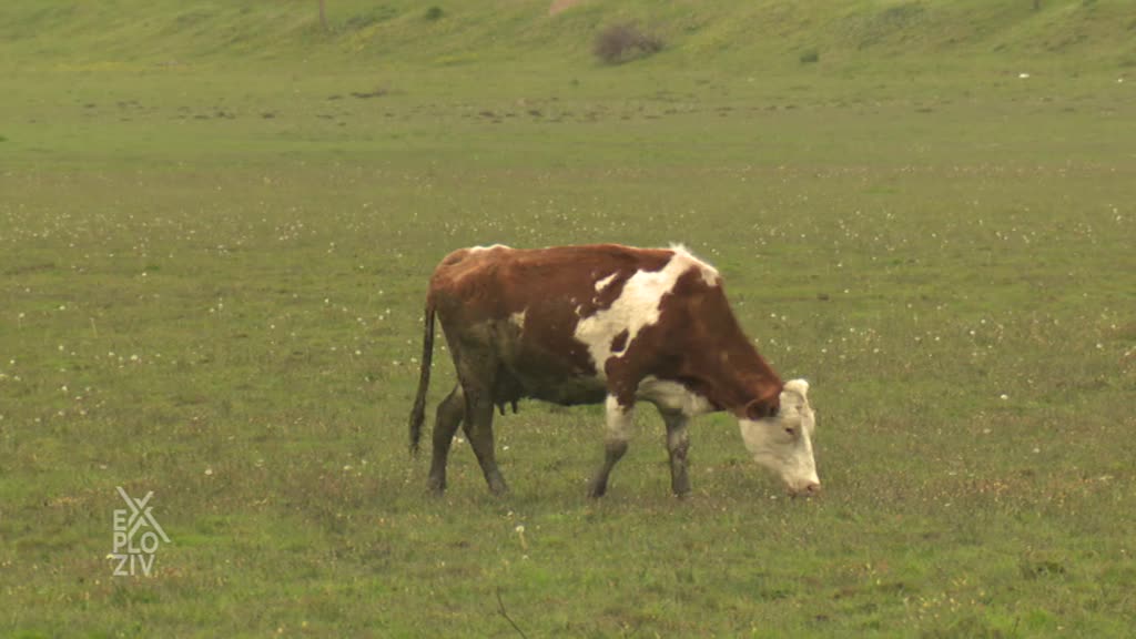 Exploziv - 10.01.2022.