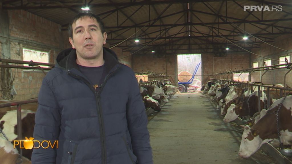 Plodovi - 22.01.2022.