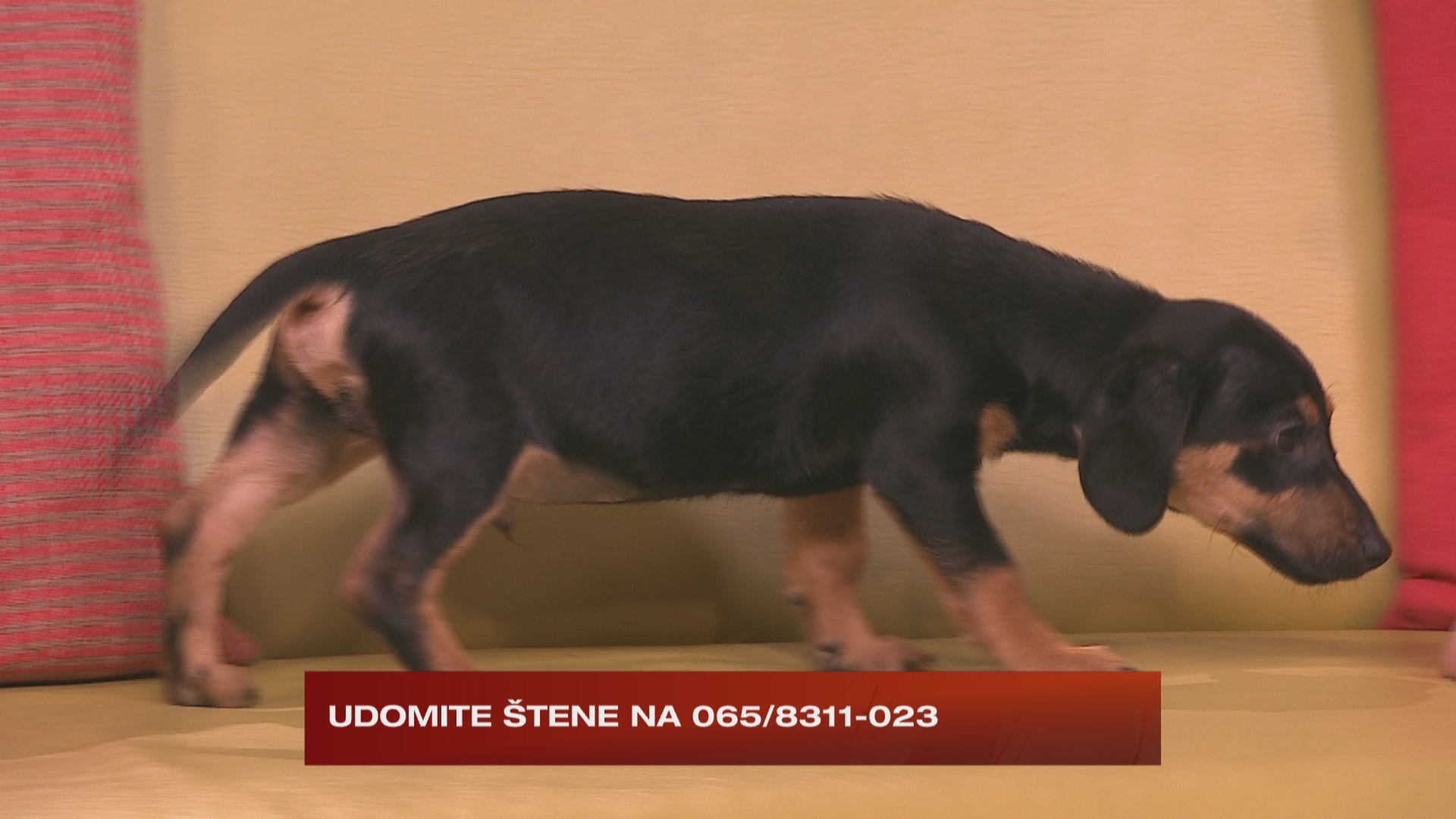 150 minuta - 18.01.2023.